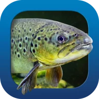 Heintges Angelschein Trainer